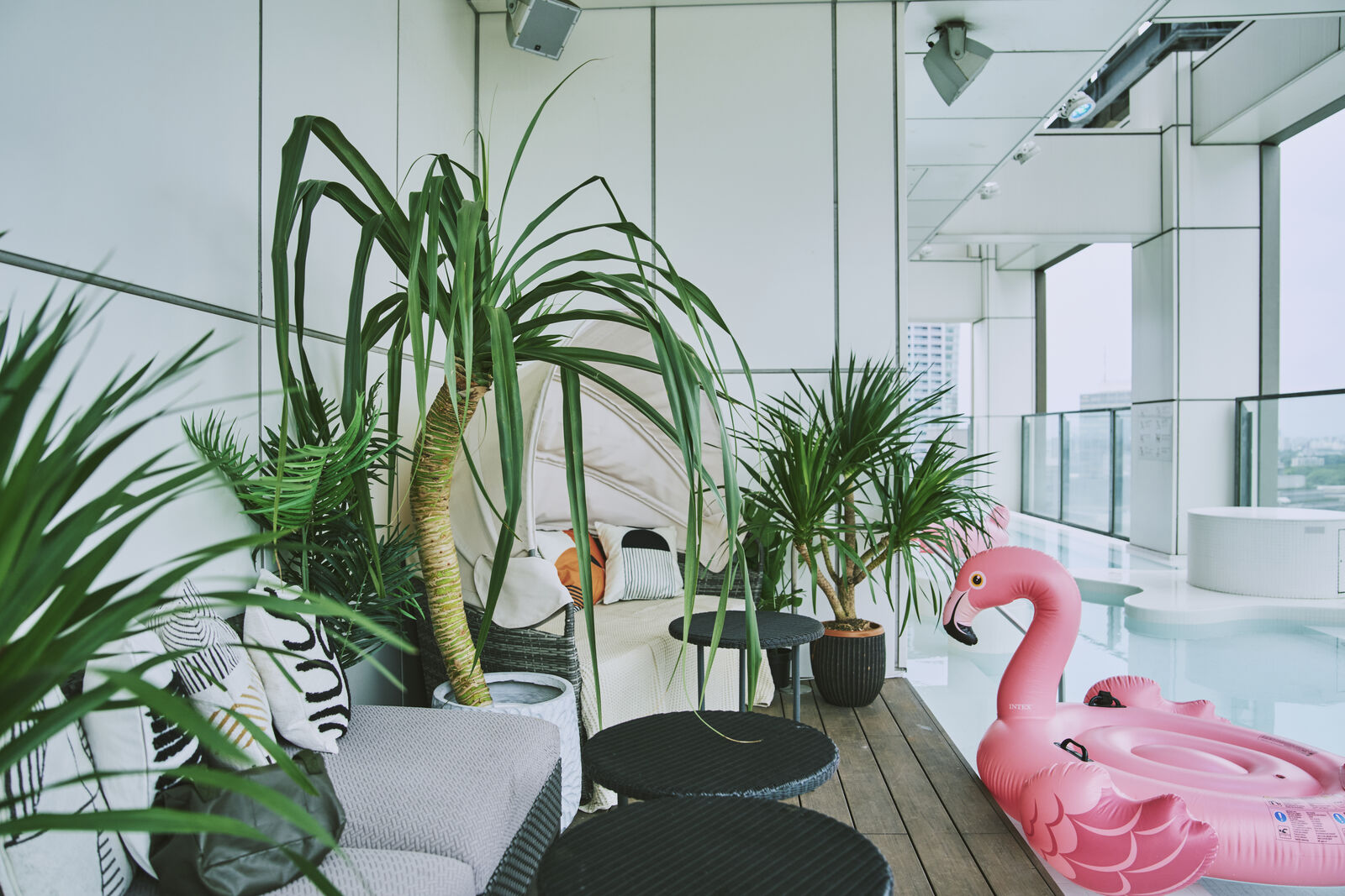 SOAK GALLERY 10